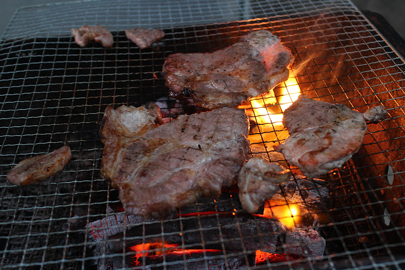 IMG_8294.JPG