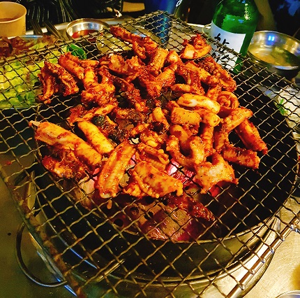 꼼장어.jpg