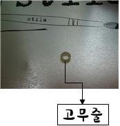 고무줄.jpg