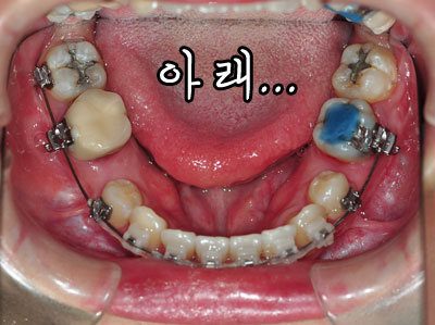 2월후기아래.jpg