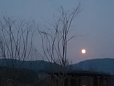 20171203_175004.jpg