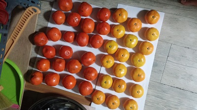 치아교정후기10화사진1.jpg