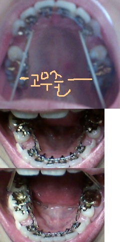 20110320205407_28723870.jpg
