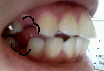사진 111023_004이사모.jpg