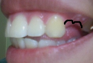 사진 111023_009이사모.jpg