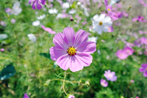 21.킬본교정 (12).JPG