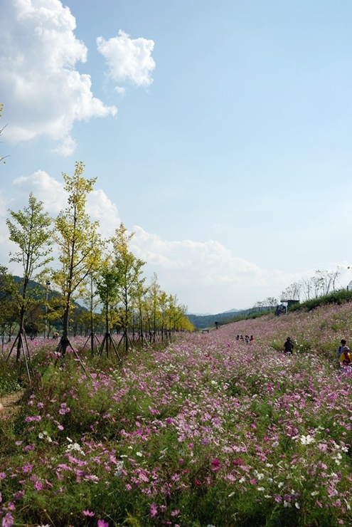 21.킬본교정.JPG