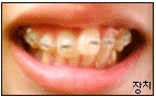 2008_00000.jpg