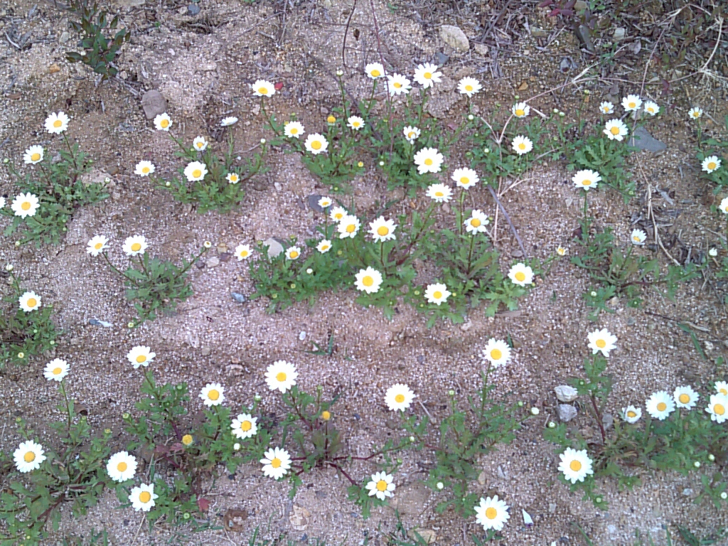 CYMERA_20140421_181328.jpg