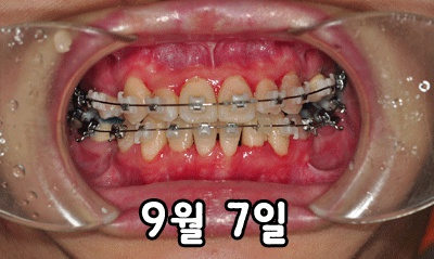 esamo_co_kr_20131111_023241.jpg