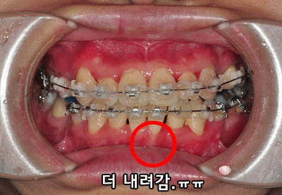 esamo_co_kr_20131111_023156.jpg