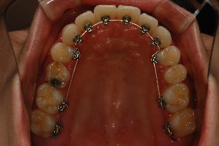 DSC_1006.jpg