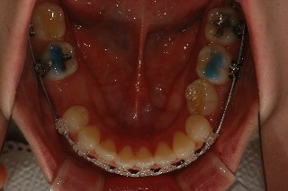 DSC_1007.jpg