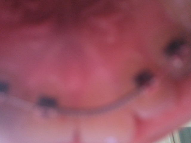 2011-04-15 20.01.52.jpg