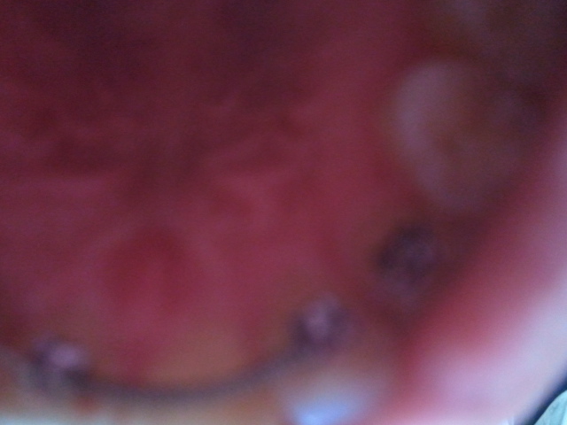 2011-04-15 20.09.42.jpg