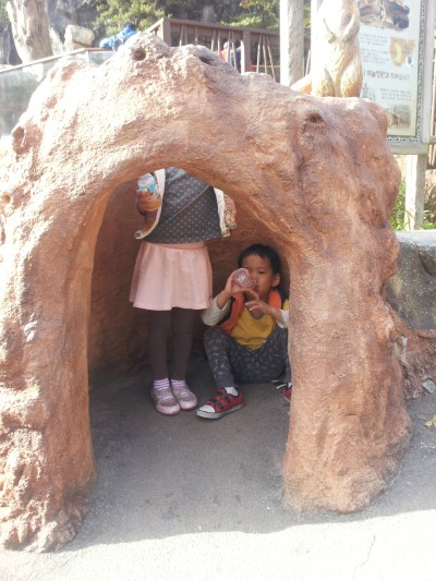 20131019_151117.jpg