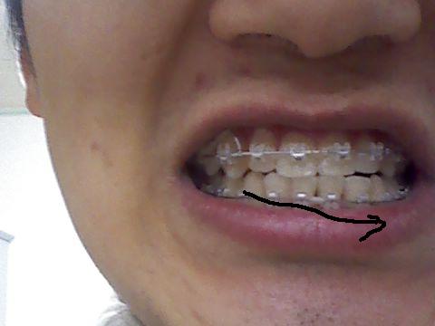사진101130_011.jpg