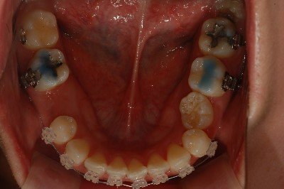 DSC_5727.jpg
