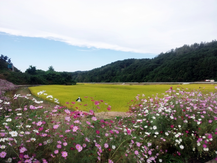 29.킬본교정(6).jpg