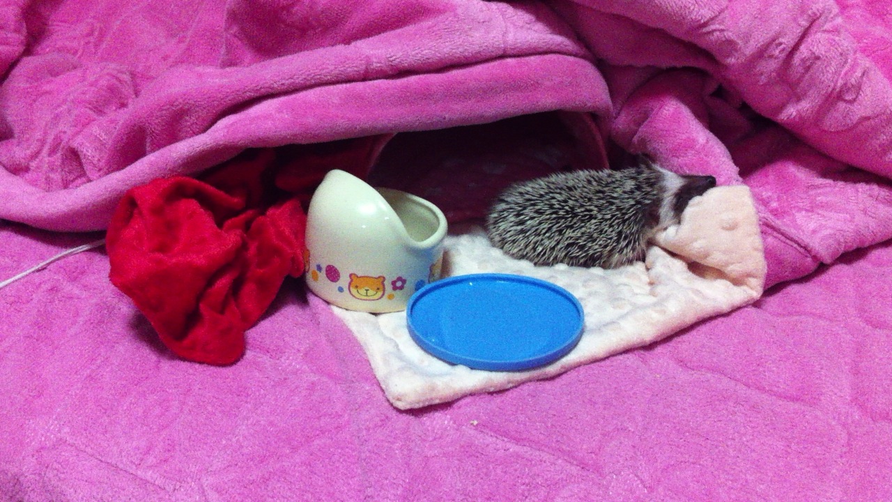치아교정후기9.JPG
