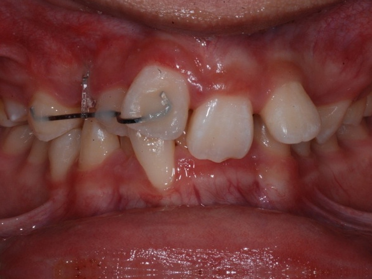 2012-12-01.jpg