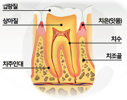 201151610135.jpg
