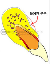 2011516102916.jpg