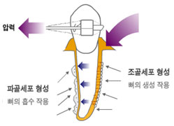 201151610166.jpg