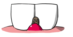 8.gif