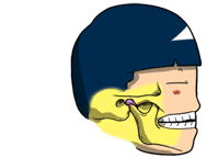 턱관절01.gif