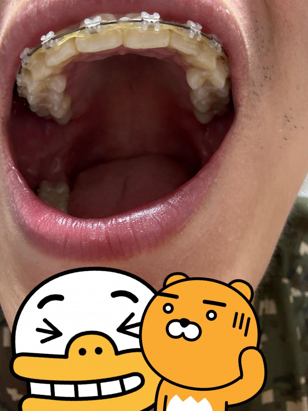 KakaoTalk_20251126_225540794.jpg