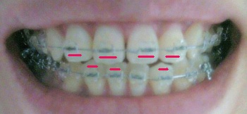 20110805.jpg