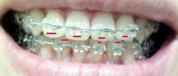 20110805-1.jpg