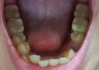 2012-02-28 14.53.37_1.jpg