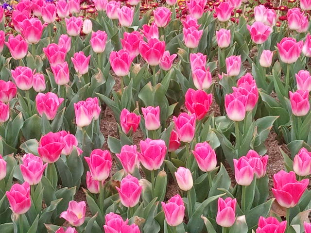 2012-04-10 08.47.08.jpg