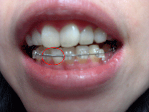 20121203_front.gif