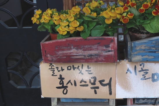 아그배_홍시스무디03.JPG