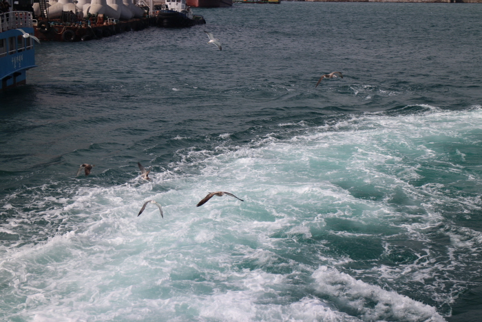 제주도08.JPG