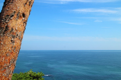 속초낙산사03.jpg