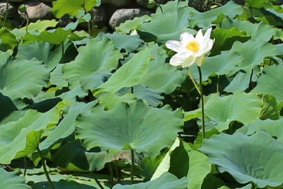 속초낙산사09.JPG