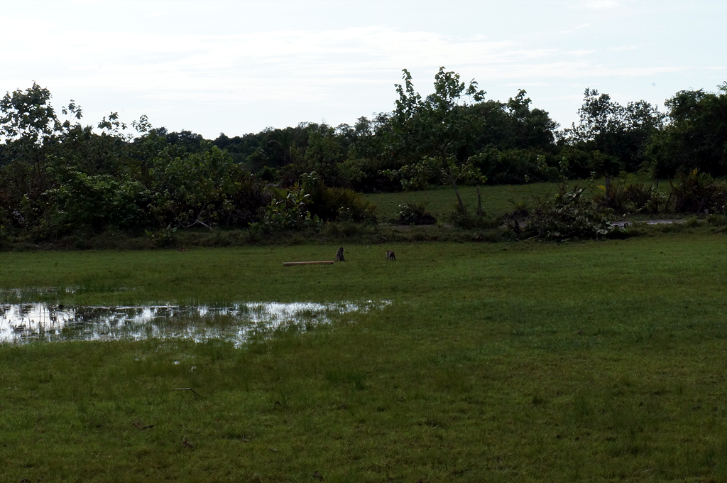 DSC01800.jpg