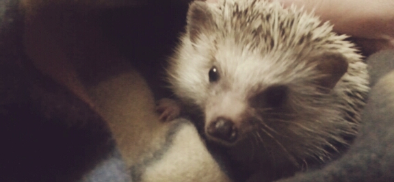 CYMERA_20130805_004312.jpg