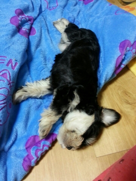 KakaoTalk_20141222_173231280.jpg