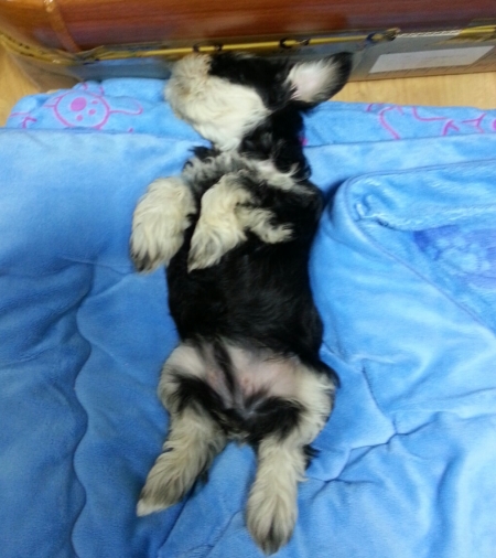 KakaoTalk_20141218_231918307.jpg