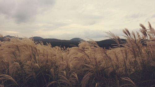 산굼부리02.jpg