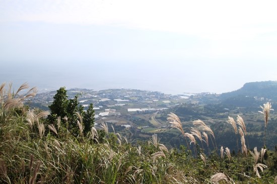 제주도여행03.jpg