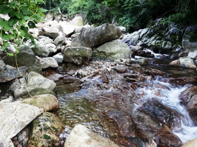 지리산뱀사골계곡-13.jpg