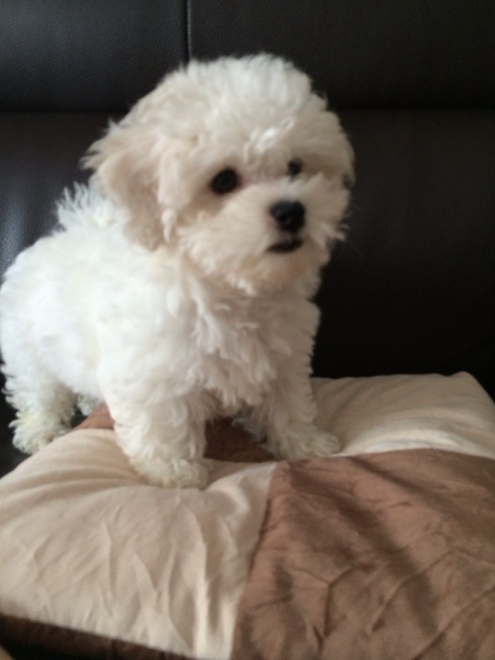 KakaoTalk_20140923_114420448.jpg