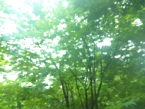 크기변환_KakaoTalk_20170703_114941493.jpg