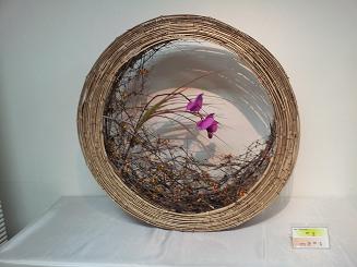 2011-10-14 15.26.31.jpg